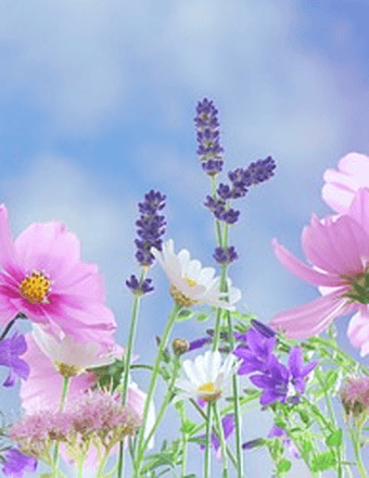 Hilda Elizabeth (Banks) Talvy Obituary